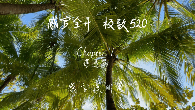 感官全开，极致520