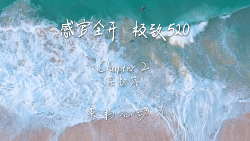 感官全开，极致520